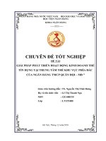 GIảI PHÁP PHÁT TRIỂN HOạT ĐộNG KINH DOANH THẺ TÍN DỤNG TẠI TRUNG tâm THẺ KHU vực PHÍA bắc CỦA NGÂN HÀNG TMCP QUÂN đội – MB 