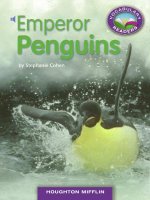 3 4 20 emperor penguins (science) 