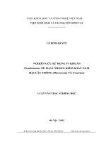 Nghiên cứu sử dụng vi khuẩn Pseudomonas sp. ĐA 3.1 trong kiểm soát nấm hại cây trồng Rhizoctonia và Fusarium