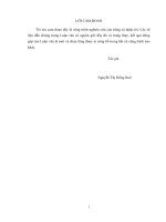 Phân tích và đề xuất giải pháp đẩy mạnh hoạt động tiêu thụ sản phẩm của công ty cổ phần viglacera hạ long 