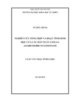 NGHIÊN cứu TỔNG hợp và HOẠT TÍNH SINH học của các dẫn XUẤT 2 OXA 6 AZABENZOBICYCLONONANE 