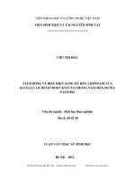 Tách dòng và biểu hiện gene mã hóa chitinase của Bacillus licheniformis KNUC213 trong nấm men Pichia pastoris