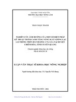 Nghiên cứu ảnh hưởng của một số biện pháp kỹ thuật thâm canh tăng năng suất giống lạc L14 trồng trên đất ruộng 1 vụ lúa tại huyện Chiêm Hóa, tỉnh Tuyên Quang