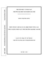 Phân tích và đề xuất các biện pháp nâng cao chất lượng nhân lực cho trường đại học sao đỏ 