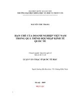 Hạn chế của doanh nghiệp việt nam trong quá trình hội nhập kinh tế quốc tế 