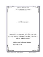 Nghiên cứu tăng cường khả năng chịu mặn bằng chuyển ghen Coda trên mô hình cây xoan ta ( Melia Azedarach L.)