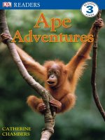 DK readers   level 3   ape adventures 