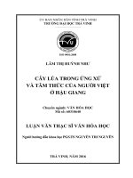 Cây lúa trong ứng xử và tâm thức của người Việt ở Hậu Giang