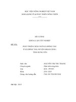 PHÁT TRIỂN CHĂN NUÔI gà ĐÔNG tảo ở xã ĐÔNG tảo, HUYỆN KHOÁI CHÂU, TỈNH HƯNG yên 