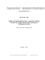 Nghiên cứu thành phần hoá học và hoạt tính sinh học của quả cây cọ Hạ Long (Livistona halongensis T.H.Nguyen & Kiew)
