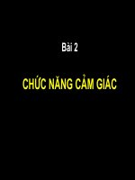 Bài giảng sinh lý chức năng cảm giác Đại học Y Hà Nôi