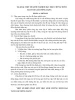 SÁNG KIẾN KINH NGHIỆM  HAI TAM GIÁC ĐỒNG DẠNG