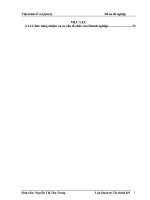 PHÂN TÍCH THỰC TRẠNG tài CHÍNH  CÔNG TY cổ PHẦN THƯƠNG mại DỊCH vụ HOÀNG NGÂN 