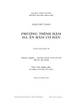 Phương trình hàm đa ẩn hàm cơ bản
