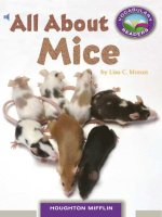 3 4 19 all about mice (science) 