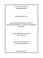 Quản trị rủi ro tín dụng cho vay đối với khách hàng cá nhân tại agribank đăklăk