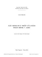 Xác định duy nhất của hàm phân hình P - Adic