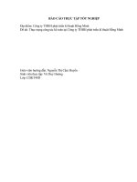 Thực trạng công tác kế toán tại công ty THHH phát triển kĩ thuật hồng minh 