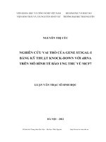 Nghiên cứu vai trò của gene ST3Gal-I bằng kỹ thuật knock-down với siRNA trên mô hình tế bào ung thư vú MCF7