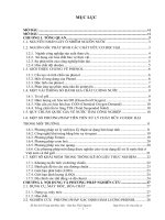 Nghiên cứu phân tích và xử lý phenol trong nước Suối Cốc - Phường Cam Giá, Thành phố Thái Nguyên