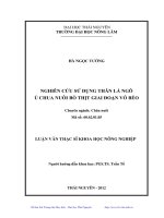 Nghiên cứu sử dụng thân lá ngô ủ chua nuôi bò thịt giai đoạn vỗ béo