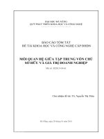 Mối quan hệ giữa tập trung vốn chủ sở hữu và giá trị doanh nghiệp