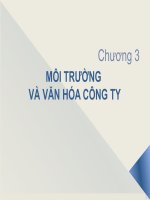 Ch03_Môi trường và Văn hóa công ty