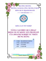 NÂNG CAO HIỆU QUẢ HOẠT ĐỘNG XUẤT KHẨU SẢN PHẨM GỖ CỦA DOANH NGHIỆP TƯ NHÂN HƯNG HẰNG
