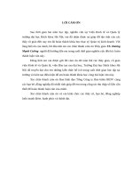 XÂY DỰNG CHIẾN LƯỢC KINH DOANH sản PHẨM bảo HIỂM PHI HÀNG hải tại TỔNG CÔNG TY bảo HIỂM BIDV (BIC)” 