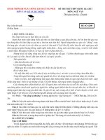 HD 12 đề thi THPT QG môn Văn 2017 (9)