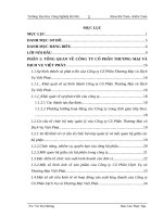 Thực trạng kế toán của công ty cổ phần dịch vụ và thương mại việt phát 