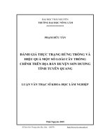 Đánh giá thực trạng rừng trồng và hiệu quả một số loài cây trồng chính trên địa bàn huyện Sơn Dương  tỉnh Tuyên Quang (LV thạc sĩ)