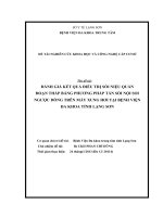 ĐÁNH GIÁ kết QUẢ điều TRỊ sỏi NIỆU QUẢN đoạn THẤP BẰNG PHƯƠNG PHÁP tán sỏi nội SOI NGƯỢC DÒNG TRÊN máy XUNG hơi tại BỆNH VIỆN đa KHOA TỈNH LẠNG sơn 