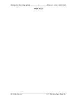 Thực trạng kế toán tại công ty TNHH mangonụ cười việt 