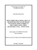 Hoàn thiện hoạt động cho vay hộ kinh doanh tại chi nhánh Ngân hàng Nông nghiệp và Phát triển Nông thôn huyện Hòa Vang - Thành phố Đà Nẵn