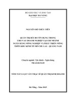 Quản trị rủi ro tín dụng trong cho vay doanh nghiệp tại Chi nhánh Ngân hàng Nông nghiệp và Phát triển Nông thôn Khu kinh tế mở Chu Lai - Quảng Nam