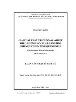 Giải pháp phát triển nông nghiệp theo hướng sản xuất hàng hóa ở huyện Cô Tô, tỉnh Quảng Ninh (LV thạc sĩ)