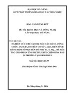 biến tính bằng một số nguyên tố như Ti, S, Mg để xúc tác cho phản ứng Metyl Este chéo hóa dầu Jatropha tạo Biodiesel