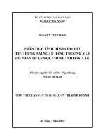 Phân tích tình hình cho vay tiêu dùng tại Ngân hàng Thương mại Cổ phần Quân Đội, chi nhánh Đắk Lắk