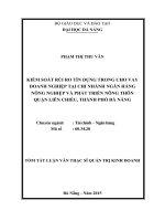 Kiểm soát rủi ro tín dụng trong cho vay doanh nghiệp tại chi nhánh Ngân hàng Nông nghiệp và Phát triển Nông thôn quận Liên Chiểu, thành phố Đà Nẵng