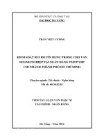 Kiểm soát rủi ro tín dụng trong cho vay doanh nghiệp tại Ngân hàng TMCP VPB - Chi nhánh thành phố Hồ Chí Min