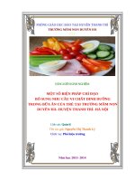 Skkn một số biện pháp chỉ đạo bổ sung nhu cầu vi chất dinh dưỡng trong bữa ăn của trẻ tại trường mầm non duyên hà huyện thanh trì  hà nội 