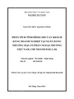 Phân tích tình hình cho vay khách hàng doanh nghiệp tại Ngân hàng Thương mại Cổ phần Ngoại thương Việt Nam, chi nhánh Đắk Lắk