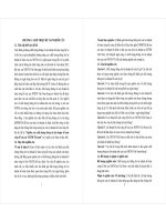 Nghiên cứu chất lượng thông tin lợi nhuận kế toán công bố của các ngân hàng thương mại việt nam (tt) 