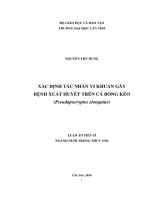 Xác định tác nhân vi khuẩn gây bệnh xuất huyết trên cá bống kèo (Pseudapocryptes elongatus) (LA tiến sĩ)