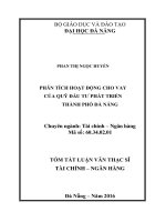 Phân tích hoạt động cho vay của Quỹ Đầu tư phát triển thành phố Đà Nẵng