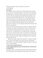 Sáng kiến kinh nghiệm kĩ năng tìm hiểu đề, tìm ý cho bài văn 