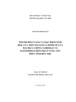 Thành phần loài và đặc điểm sinh học của một số loài cá kinh tế của hai họ cá bống Gobiidae và Eleotridae phân bố ở vùng ven biển tỉnh Bến Tre (LA tiến sĩ)