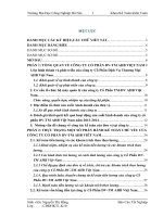 Tổ chức công tác kế toán bán hàng và xác định kết quả bán hàng tại công ty cổ phần dịch vụ thương mại AHB việt nam 