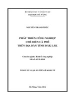 Phát triển công nghiệp chế biến cà phê trên địa bàn tỉnh Đắk Lắk